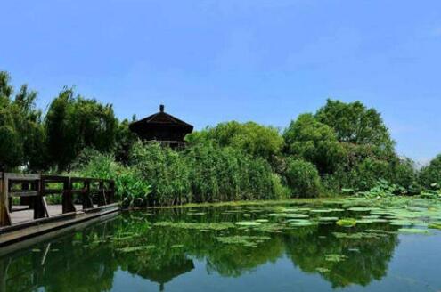 北京綠化公司