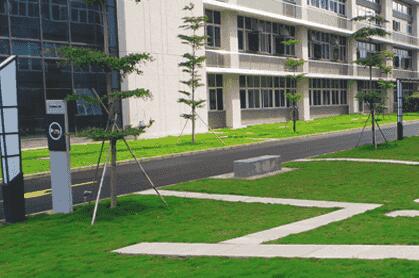 綠化苗木移植過程中,土球散了怎麽辦? 別急,園林(lín)公司有辦法