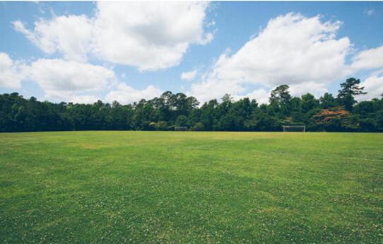 園林綠（lǜ）化工程施工要（yào）點介紹 