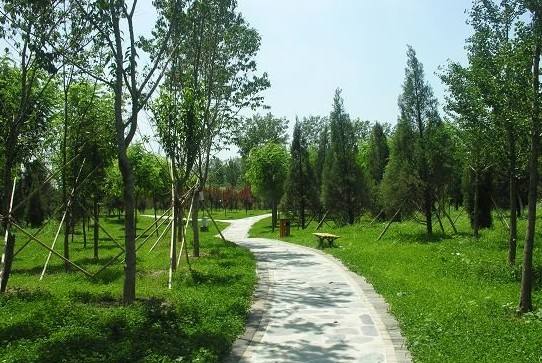 园林绿化(huà)公司带您了解(jiě)夏季绿化养护小知识