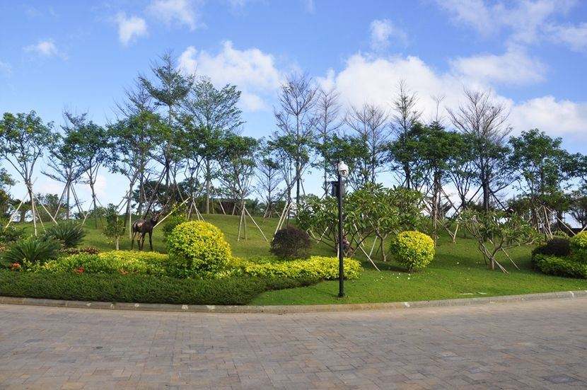 園林綠化工程雨季施工有哪些問題?