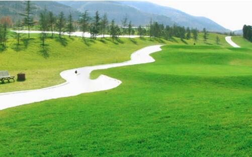 園林綠（lǜ）化養護