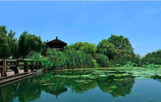 園(yuán)林綠化養護