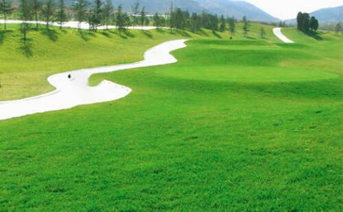 园林绿(lǜ)化公司绿化养护