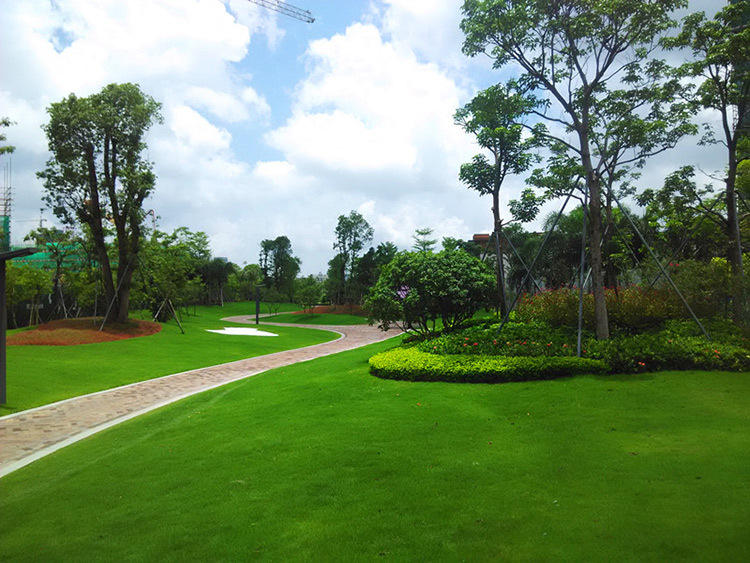 城市園林綠化應特別注意什麽