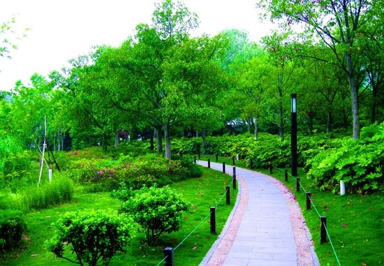 園林綠化（huà）養護的方法