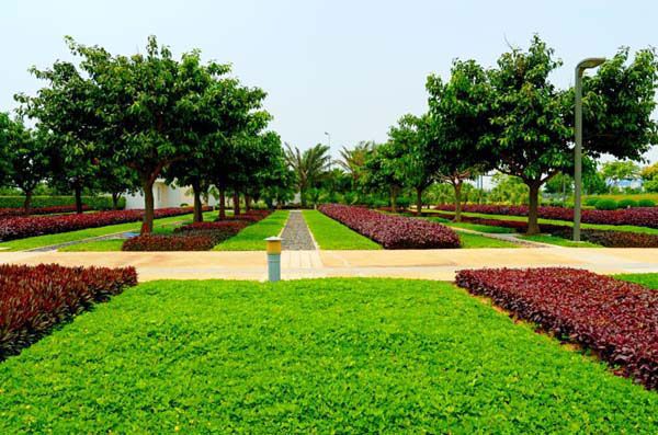 園林綠化的施工工程包含了什麽