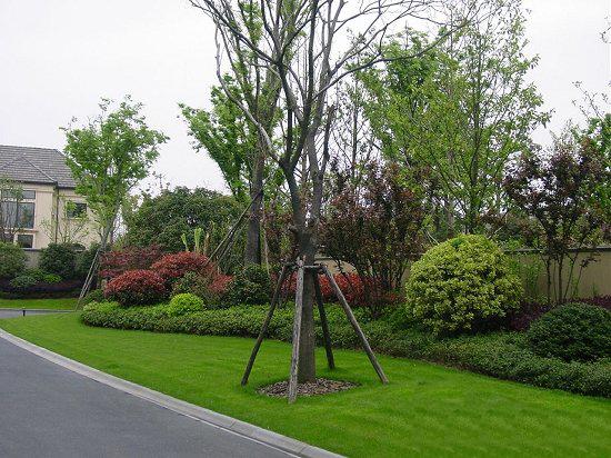 園林（lín）綠化林（lín）木防治害蟲的辦法