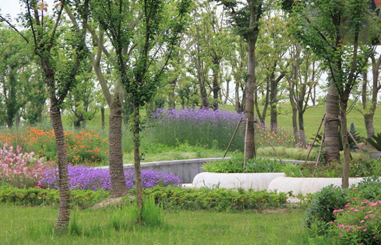 景觀工程花鏡整型和修剪