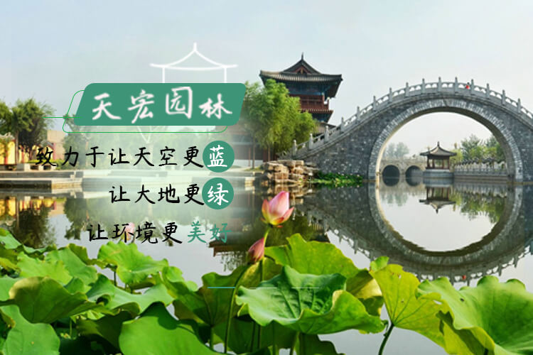 北京色猫直播園林綠（lǜ）化養護有限（xiàn）公司