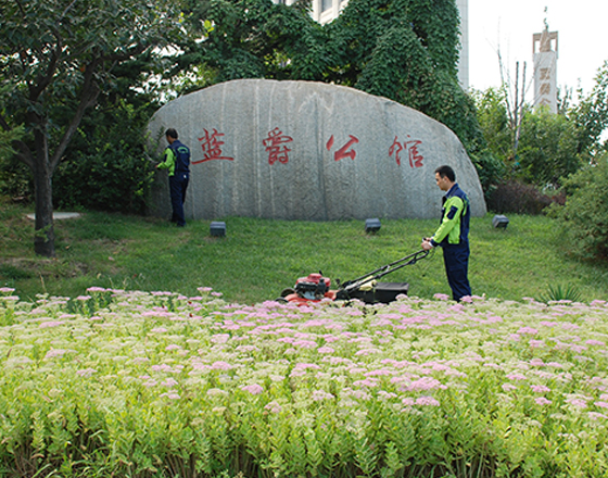蓝爵公馆（guǎn）绿化养护