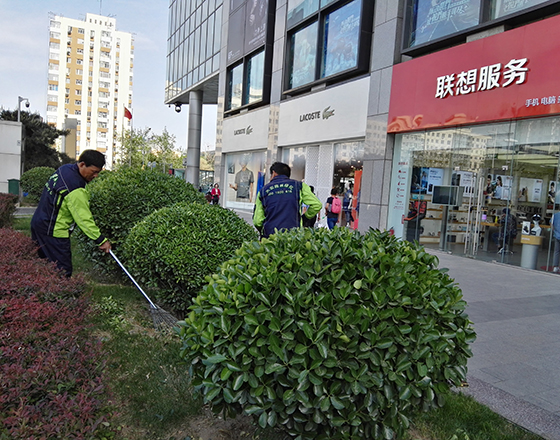 新中关购物中心 绿化（huà）