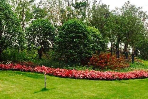 園林景觀工程之硬景工程工（gōng）序流程