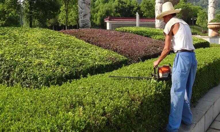 綠化養護（hù）工證怎麽考?報名（míng）條件方式都有哪些
