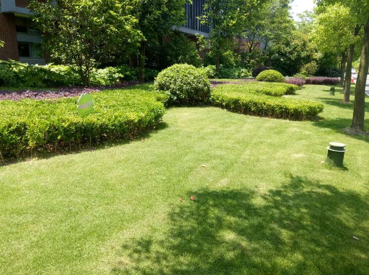 園林景觀工程根（gēn）據景觀雕塑所起的不同作用
