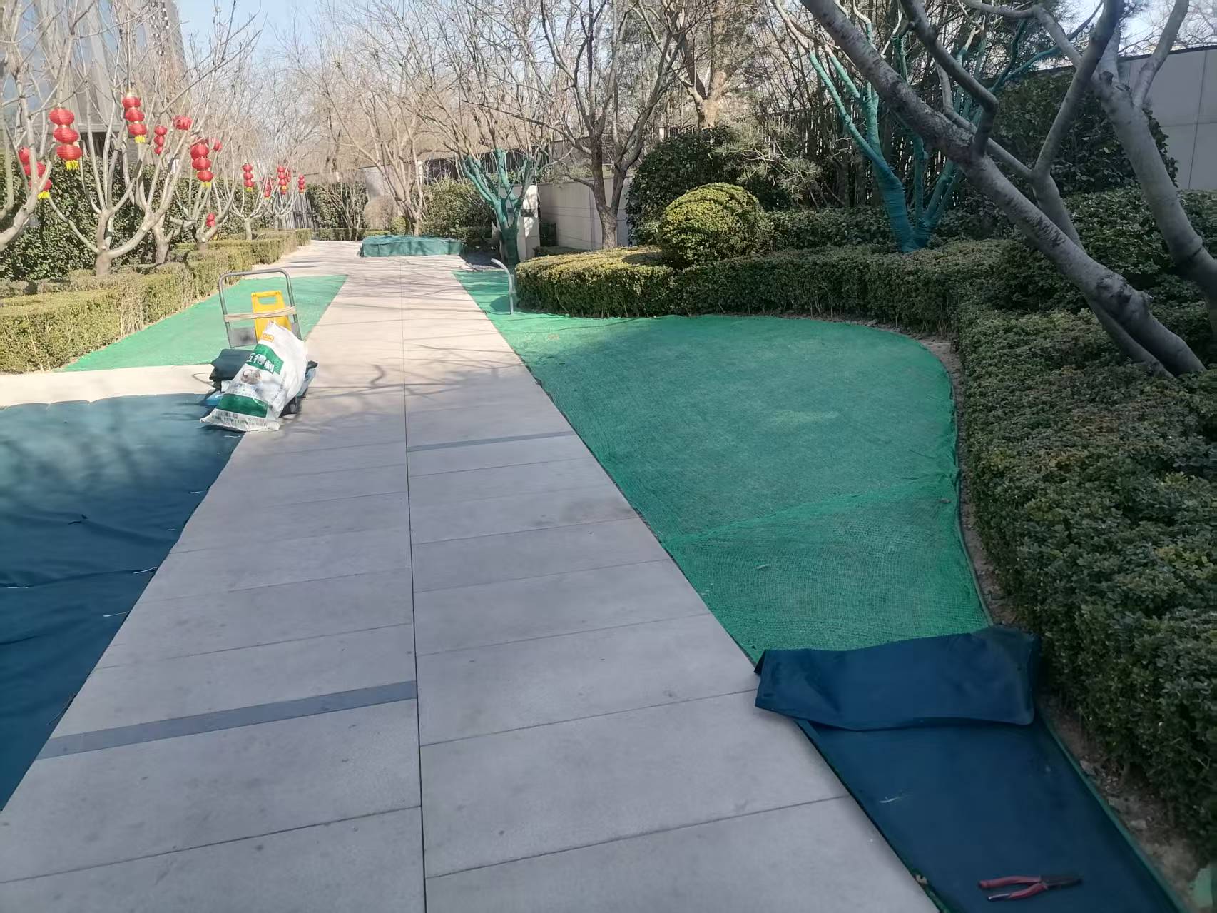 北（běi）京春季园林绿化养护之撤除防寒（hán）布