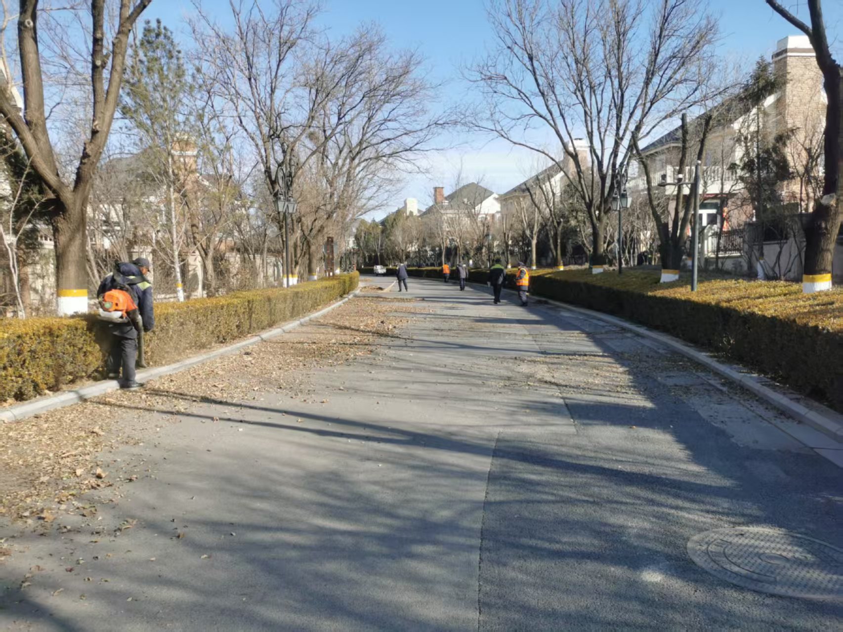 北京春季园林绿化（huà）养护指南之春季清园