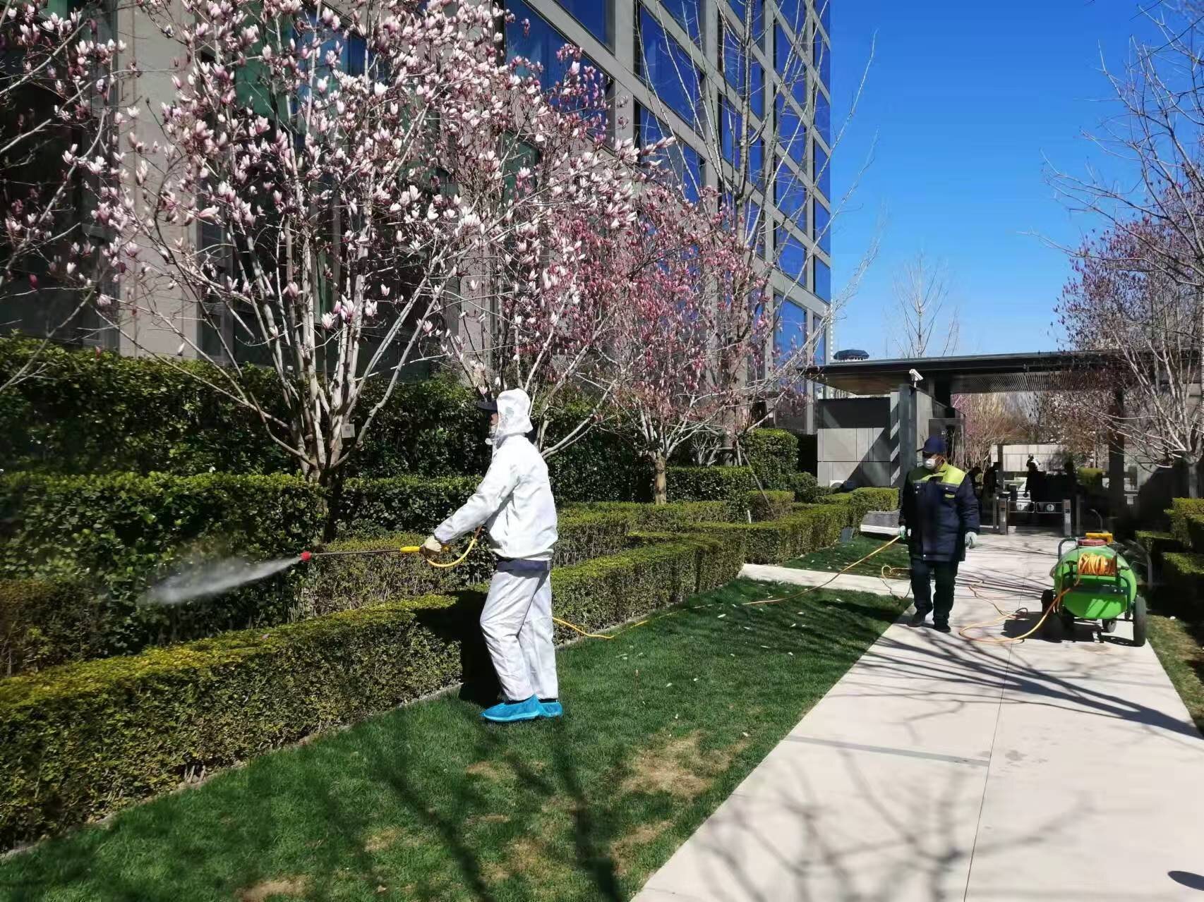 北（běi）京春季园林绿化养（yǎng）护之要点